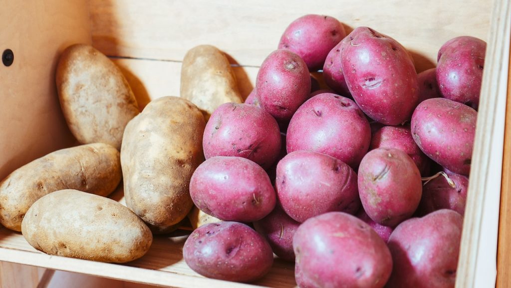 Zbiory ziemniaków – kiedy należy je wykonać?