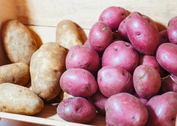 Zbiory ziemniaków – kiedy należy je wykonać?